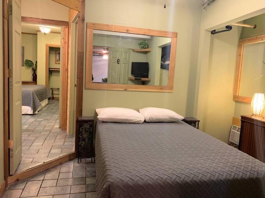 The River Haven - Sleeps 32 - On Guadalupe River Seguin Dış mekan fotoğraf